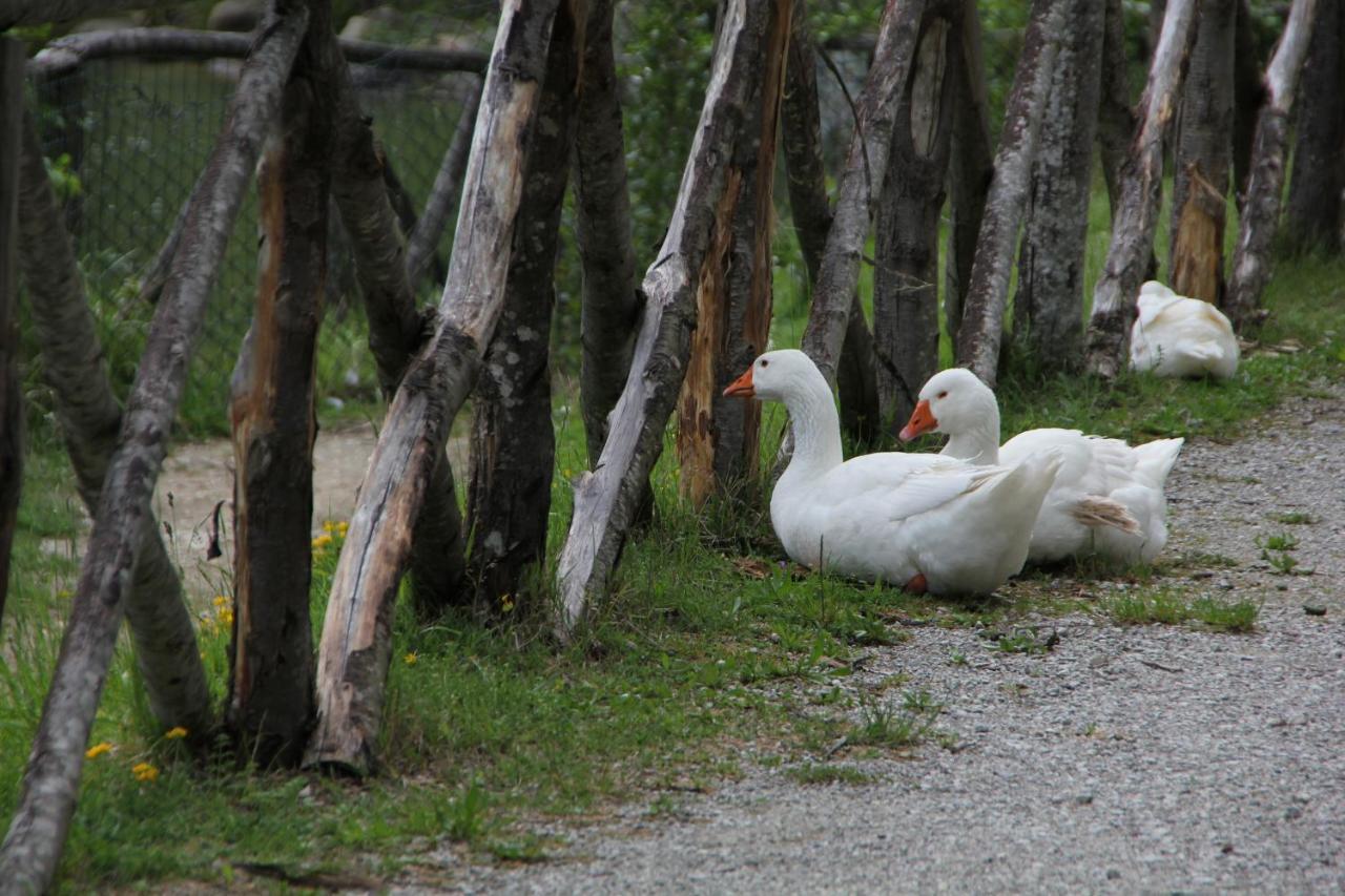 Albergo Lago Verde Pennabilli Exterior foto